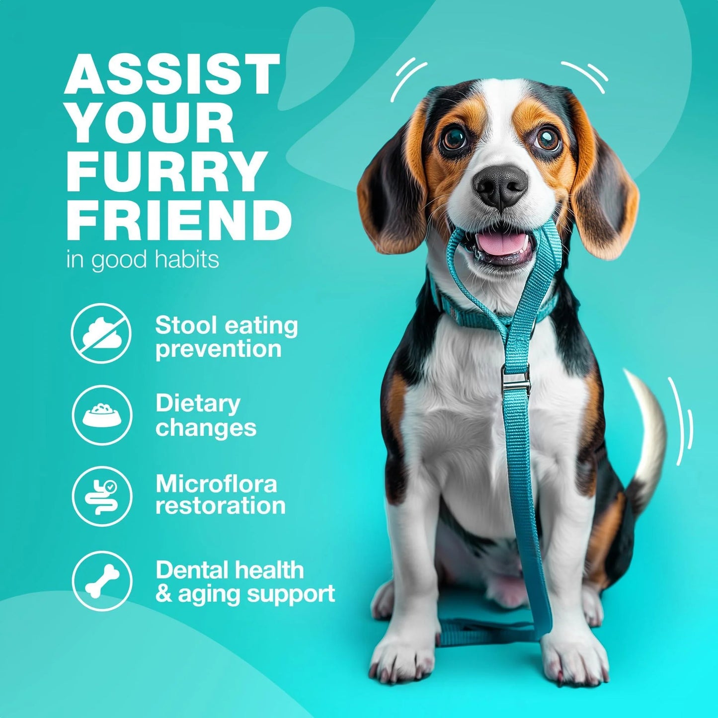 No Poo Chews for Dogs Coprophagia Deterrent for Dogs Forbid for Dogs Stool Eating Deterrent Dog Probiotics for Digestive Health Digestive Gut & Immune Health Treats No Poop Eating for Dogs