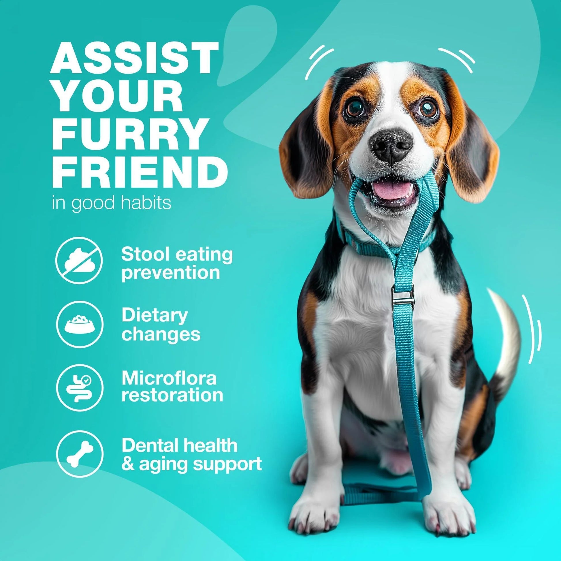 No Poo Chews for Dogs Coprophagia Deterrent for Dogs Forbid for Dogs Stool Eating Deterrent Dog Probiotics for Digestive Health Digestive Gut & Immune Health Treats No Poop Eating for Dogs