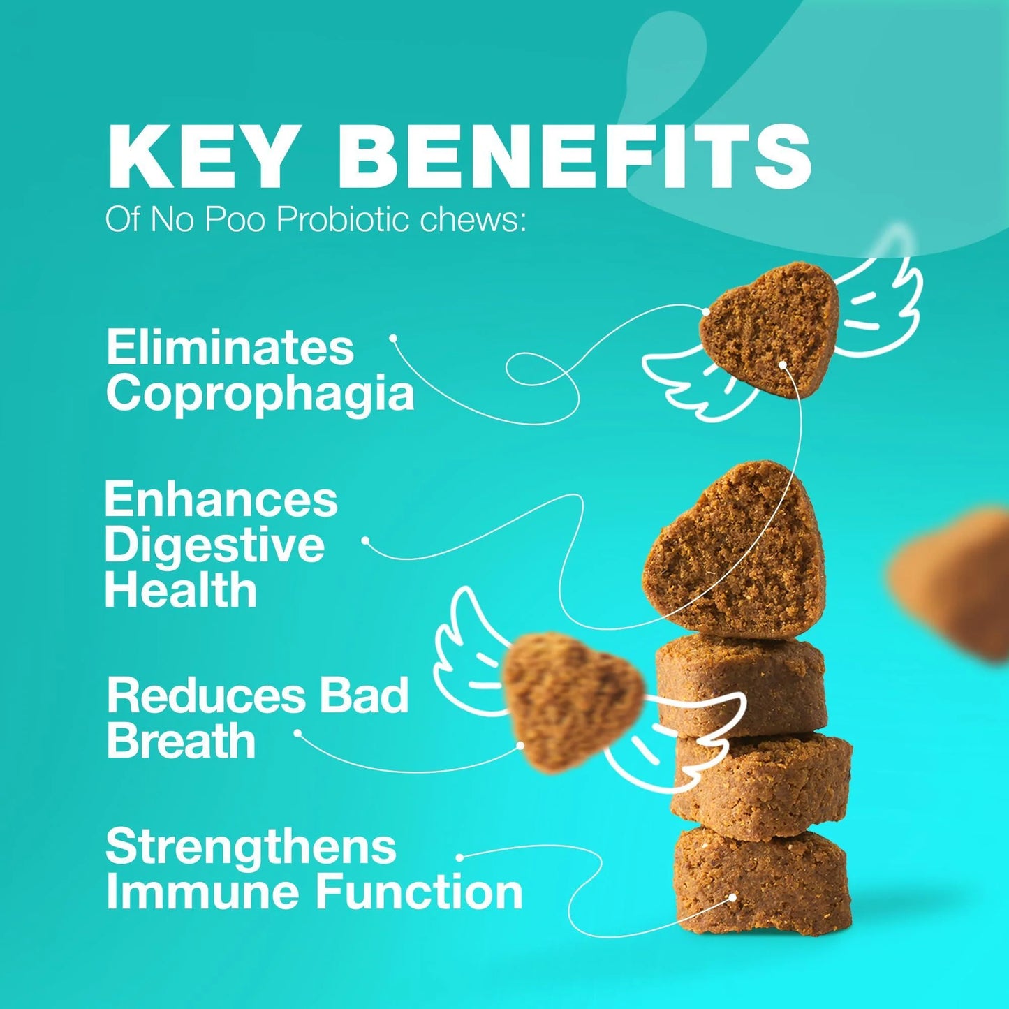 No Poo Chews for Dogs Coprophagia Deterrent for Dogs Forbid for Dogs Stool Eating Deterrent Dog Probiotics for Digestive Health Digestive Gut & Immune Health Treats No Poop Eating for Dogs