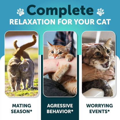 Hemp Cat Calming Treats for Stress & Anxiety Relief Cat & Kittens Melatonin